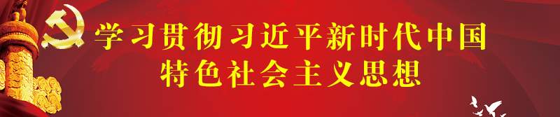 学习贯彻习近平新时代中国特色社会主义思想