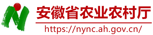 安徽省农业农村厅
