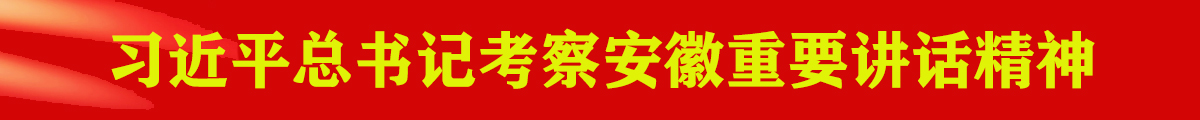 习近平考察安徽